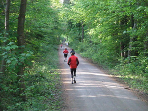 Erholung im Dauerwald