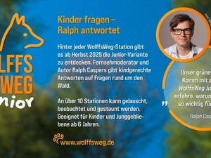 Info Wolffsweg Junior